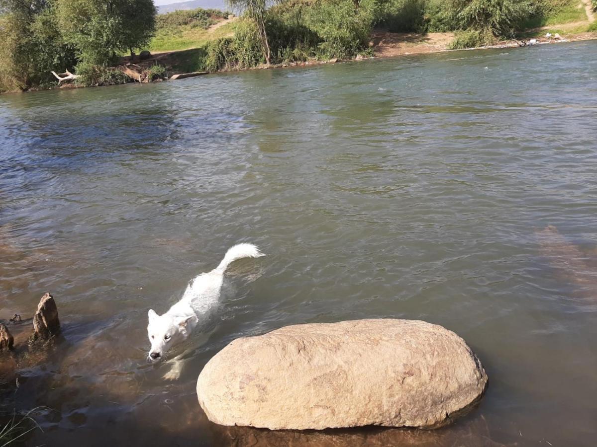 Naftali Albilia Kiryat Shmona Dış mekan fotoğraf