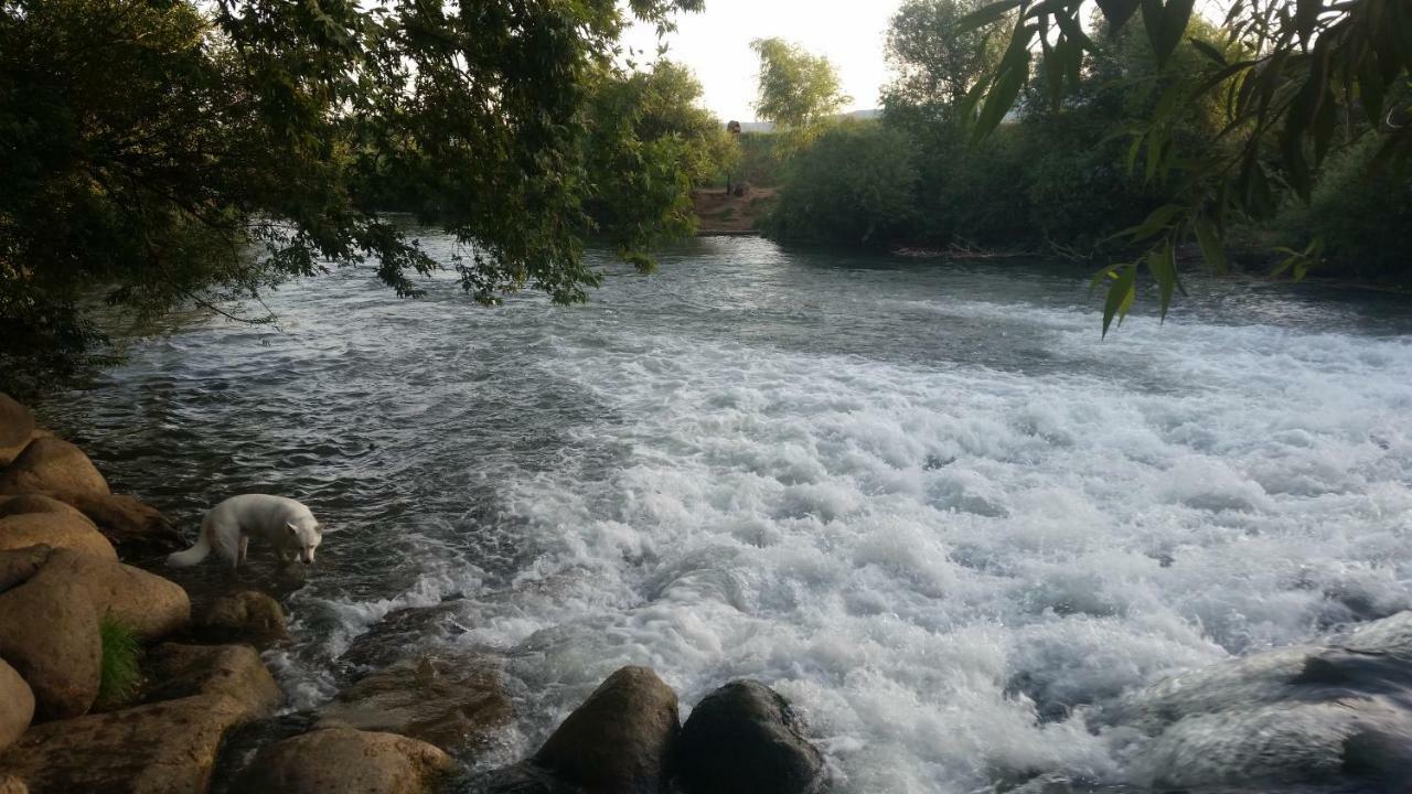 Naftali Albilia Kiryat Shmona Dış mekan fotoğraf
