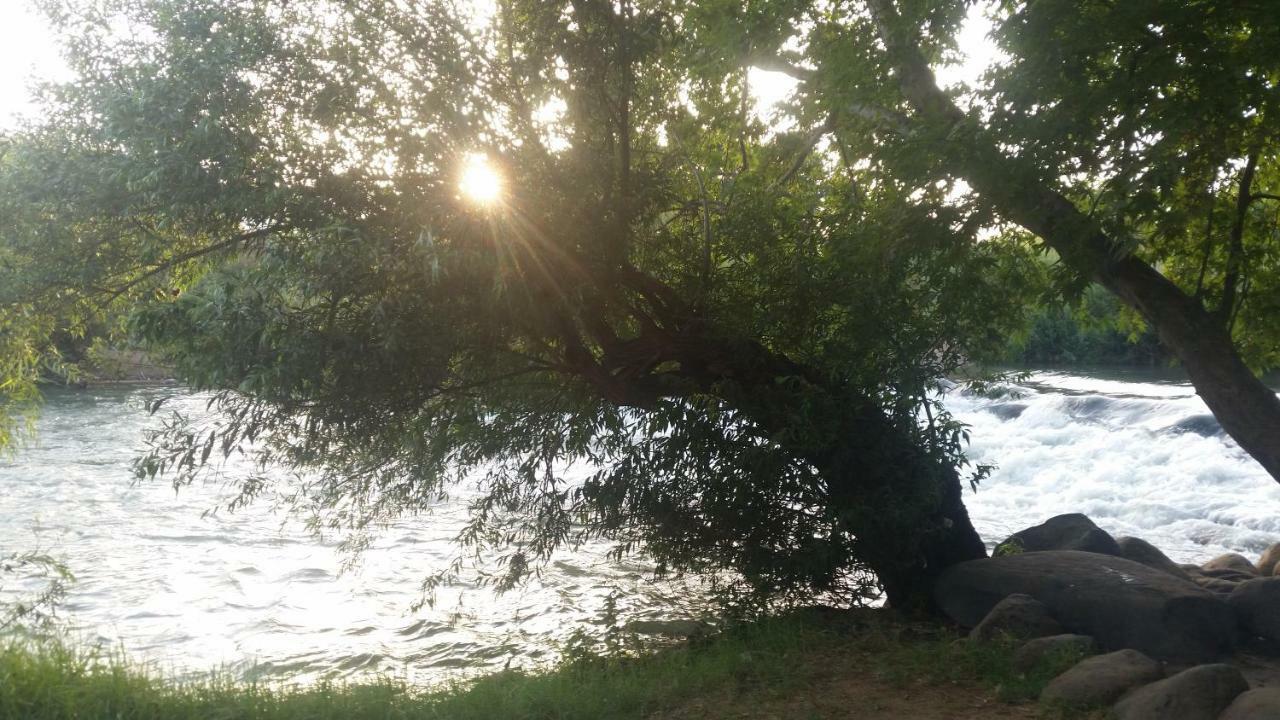 Naftali Albilia Kiryat Shmona Dış mekan fotoğraf